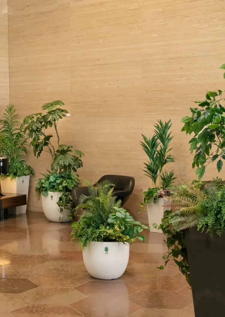 レスキューグリーン配置イメージ画像