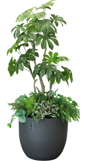 防災課長 木下そなえ（黒鉢）