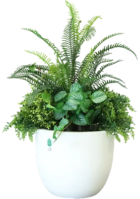 防災係長 木下そなえ（白鉢）